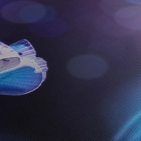 Obraz - Motýle na levanduli (120x50 cm)