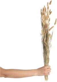 Kytica fúkačiek 60cm beige