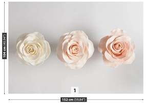 Fototapeta Vliesová Ruže 104x70 cm