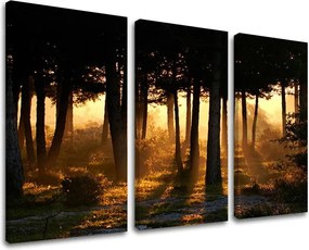 Obraz na stenu STROMY