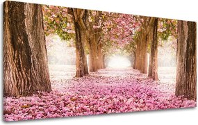 Obraz na stenu PANORÁMA STROMY ST008E13