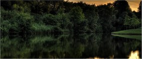 Obraz jazera pri lese (120x50 cm)