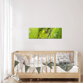 Obraz hada (s hodinami) (90x30 cm)