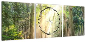Obraz cestičky v lese (s hodinami) (90x30 cm)