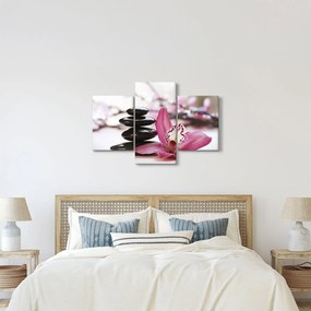 Obraz masážnych kameňov a orchidey na vode (90x60 cm)