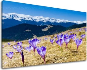 Obraz na stenu KVETY KV017E11 - 80x120 cm