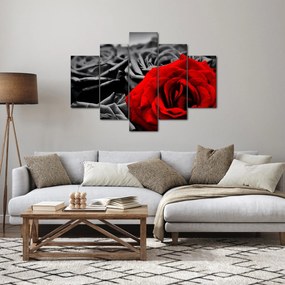 Obraz - Kvety ruží (150x105 cm)