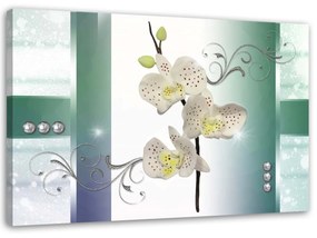 Obraz na plátně Orchidej květina rostlina - 100x70 cm