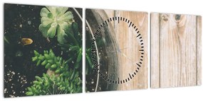 Obraz sukulentov v skle (s hodinami) (90x30 cm)