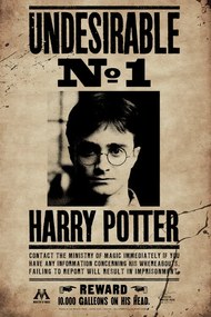 Umelecká tlač Harry Potter - Undesirable No 1, (26.7 x 40 cm)