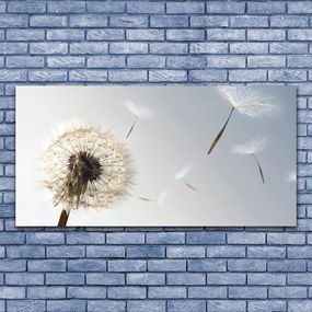 Obraz plexi Púpava kvety príroda 120x60 cm