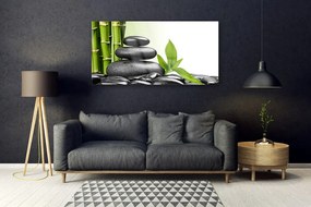 Obraz plexi Bambus kamene zen umenie 120x60 cm