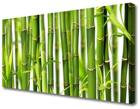 Obraz Canvas Bambusové výhonky listy bambus 120x60 cm
