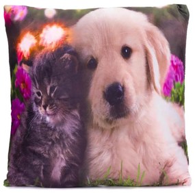 Nexos 68495 Dekoračný vankúš s LED osvetlením Mačka a pes - 38 x 38 cm