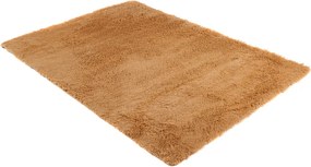TA Koberec BEIGE BEIGE SILK Béžový Obdĺžnikový Rozmer: 120x170 cm
