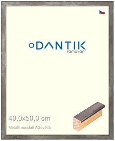 DANTIK rám na obraz 40x50 | Metalli oidati AGsvětlá (Plexi Čiré)