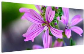 Detailný obraz kvetiny (120x50 cm)