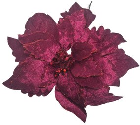 Bordová vianočná ruža 24cm