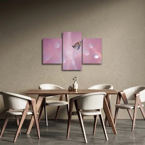 Obraz - Motýľ (90x60 cm)
