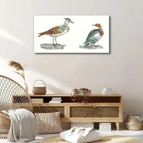 Obraz na plátne zvieratá vtáky