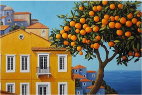 Obraz - Pomarančovník (90x60 cm)