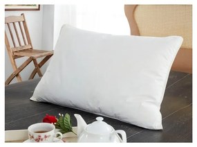 Antialergénny vodoodolný chránič vankúša 2 ks 70x50 cm Classic - Mila Home