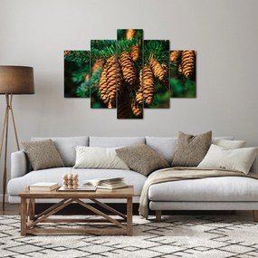 Obraz šišiek (150x105 cm)