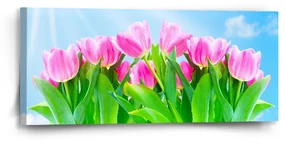 Sablio Obraz Ružové Tulipány - 110x50 cm