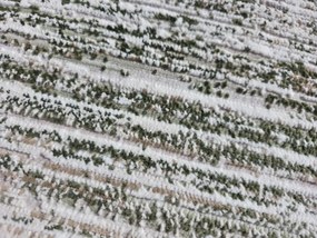 DC Koberec Exclusive 412 krémová zelená Rozmer: 120×170 cm