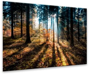 Obraz Styler Glasspik Autumn Sunset, 70 × 100 cm