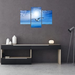 Obraz - Čajka nad morom (90x60 cm)