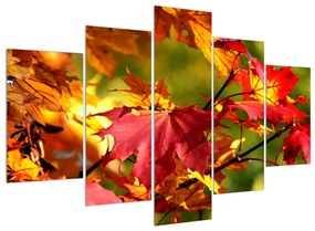 Obraz jesenných listov (150x105 cm)
