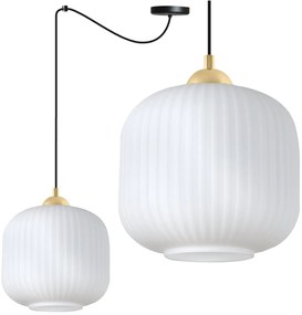 Závesné svietidlo Riffle Spider 2, 1x biele sklenené tienidlo, b/g