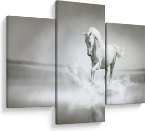 Obraz - Biely kôň (90x60 cm)
