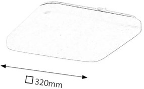 Rabalux LED stropné svietidlo Rob 1x32W | 2600lm | 4000K - biela