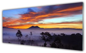 Obraz na akrylátovom skle Stromy hmla krajina 125x50 cm