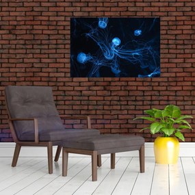 Obraz - Medúzy (90x60 cm)