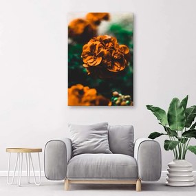 Obraz na plátně Oranžové květy - 70x100 cm
