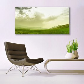 Obraz plexi Lúka príroda zelený výhľad 120x60 cm