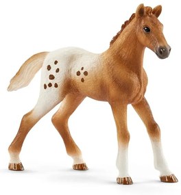 Schleich 42433 Appalosské kone a tréningové príslušenstvo, 7 ks