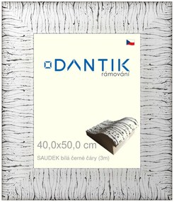 DANTIK rám na obraz 40x50 | SAUDEK Bílá černé čáry (Plexi Čiré)