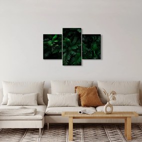 Obraz - Tropické papradie (90x60 cm)
