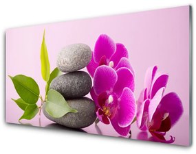 Skleneny obraz Orchidea vstavač kamene 140x70 cm