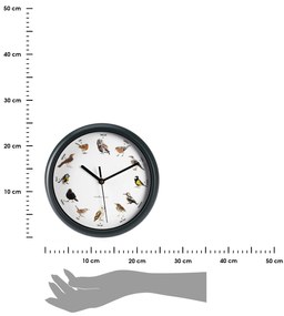 Nástenné hodiny Birds, biela/zelená
