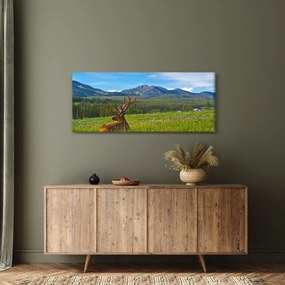 Obraz - Jeleň v lúke (120x50 cm)