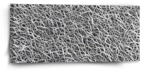 Sablio Obraz Biele vlákna - 110x50 cm