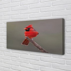 Obraz na plátne Red papagáj na vetve 140x70 cm