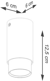 Stropné svietidlo v čierno-striebornej farbe Crown – Sollux