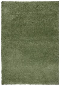 Zelený koberec 200x290 cm – Flair Rugs