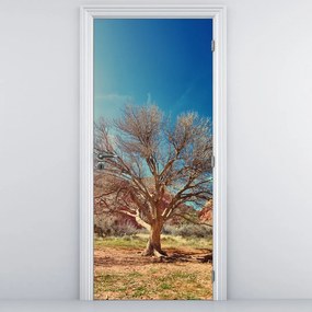 Fototapeta na dvere - Strom v púšti (95x205cm)